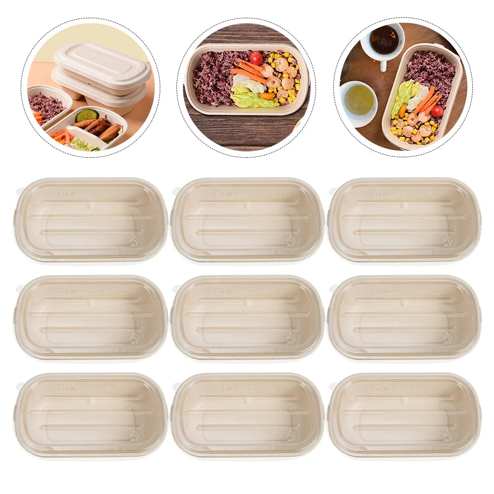 Eco-Friendly Disposable Meal Prep Containers – The Tupperware Alternative You Won’t Lose